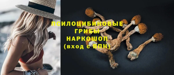 трава Михайловск