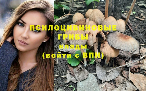 мет Михайлов