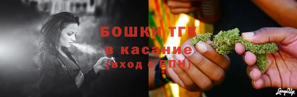 ПСИЛОЦИБИНОВЫЕ ГРИБЫ Белокуриха