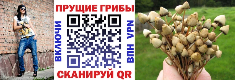 ОМГ ОМГ ссылка  Борисоглебск  Галлюциногенные грибы Magic Shrooms  где купить наркоту 