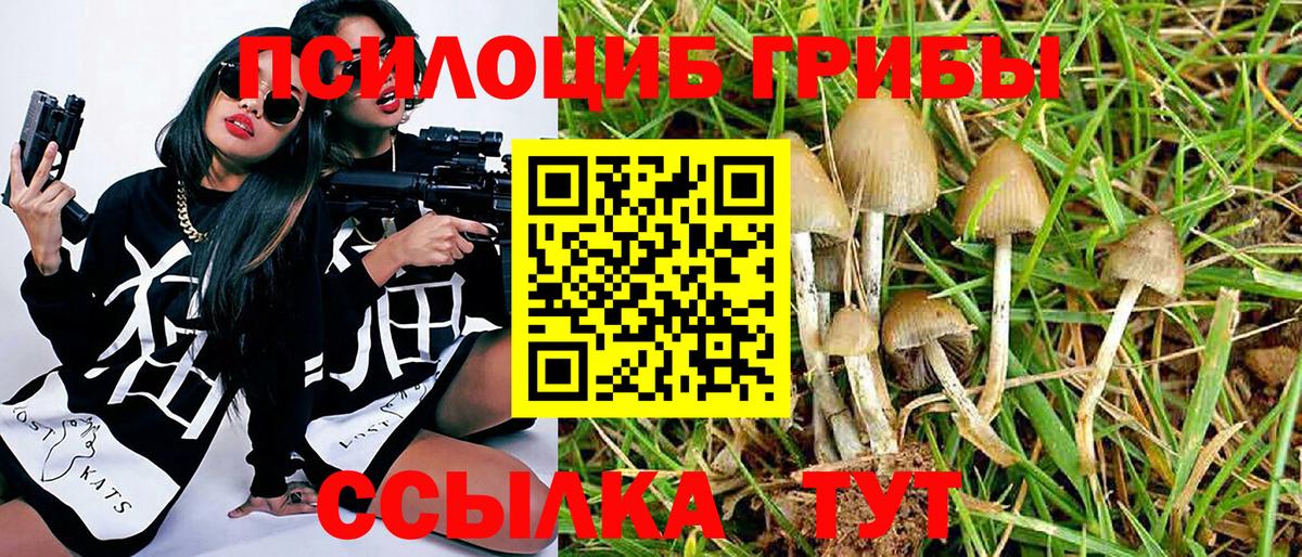 Борисоглебск  Галлюциногенные грибы Magic Shrooms  Вход с VPN 